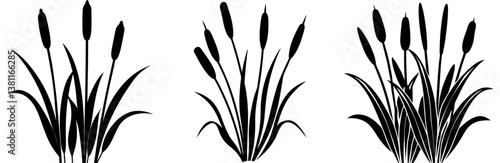 Cattail Silhouette Vector Art