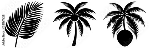 Coconut Leaf Silhouette Vector Art
