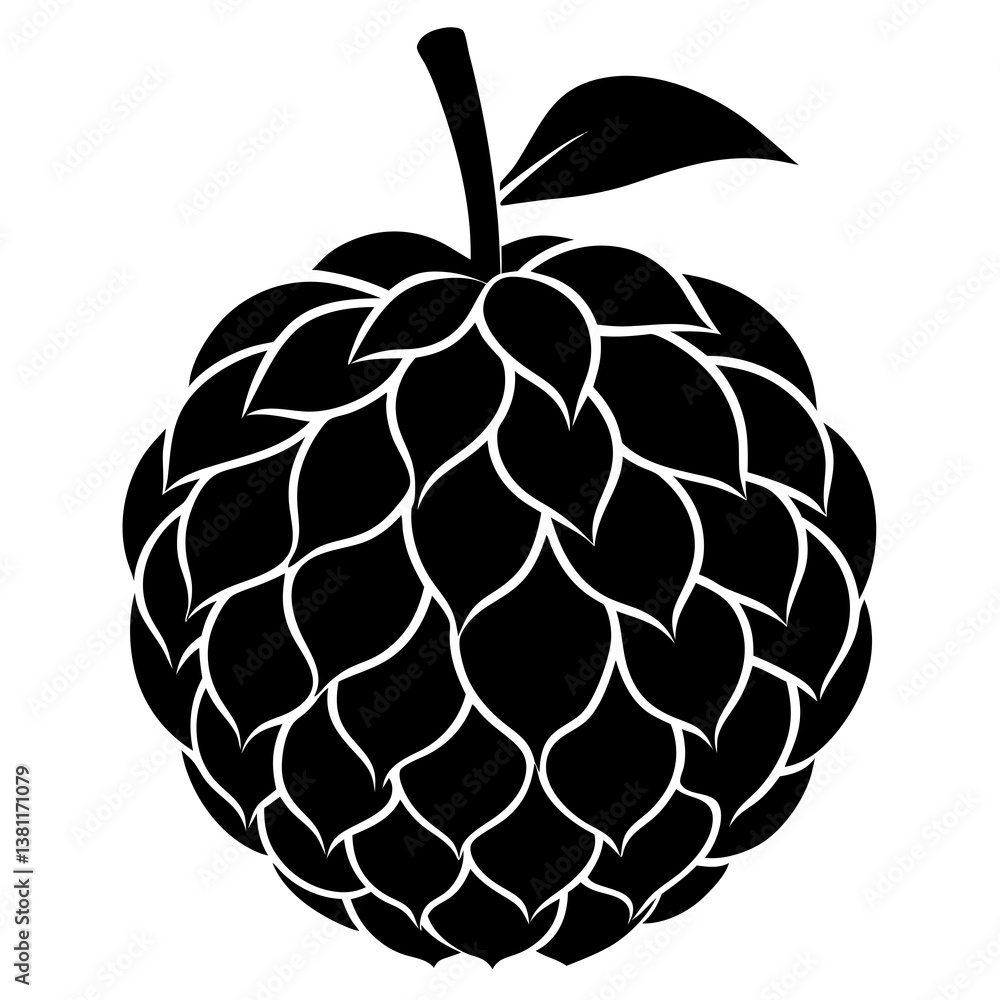 vector illustration of a Ata fruit vector illustration of a Ata fruit