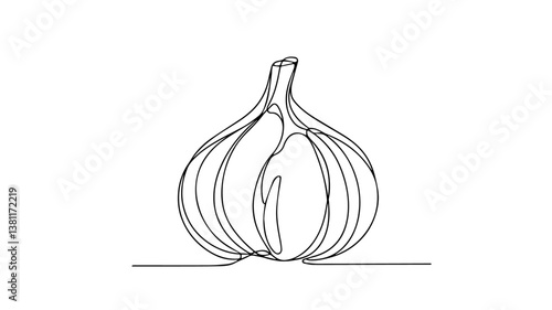  illustration of realistic garlic bulb using one continuous line