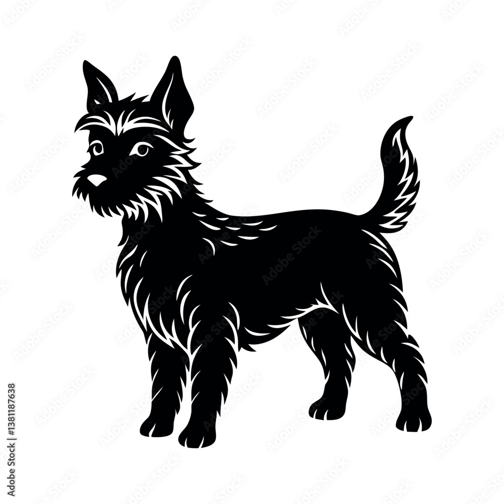 Obraz premium Black and white cat