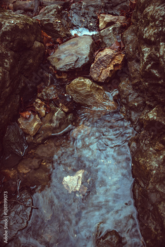 stones in the stream
