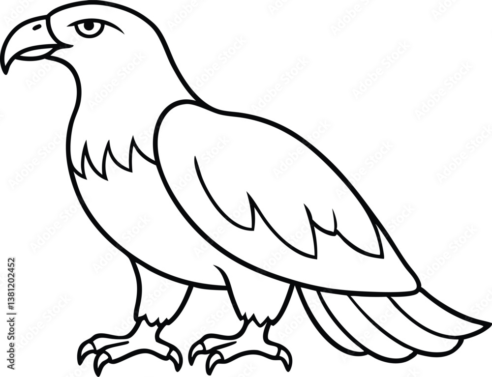 eagle bird coloring book page, eagle line art vector eagle bird coloring book page, eagle line art vector
