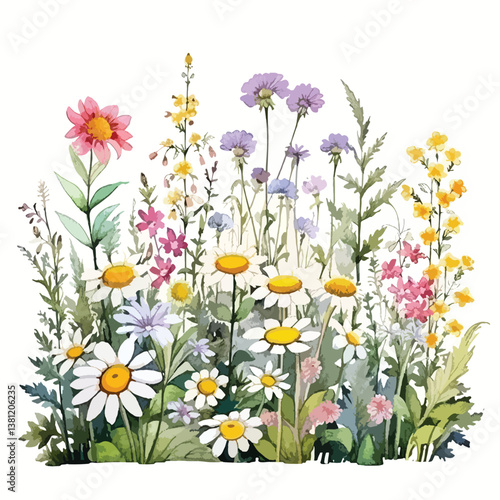 watercolor A field of wildflowers in full bloom illustration