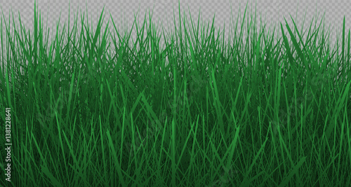 Grass border, vector, illustration. Vector image of grass, lawn. Grass and lawn in PNG format. Green grass with sunny, bright highlights.