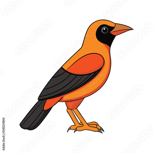  Charming Altamira Oriole Bird Design