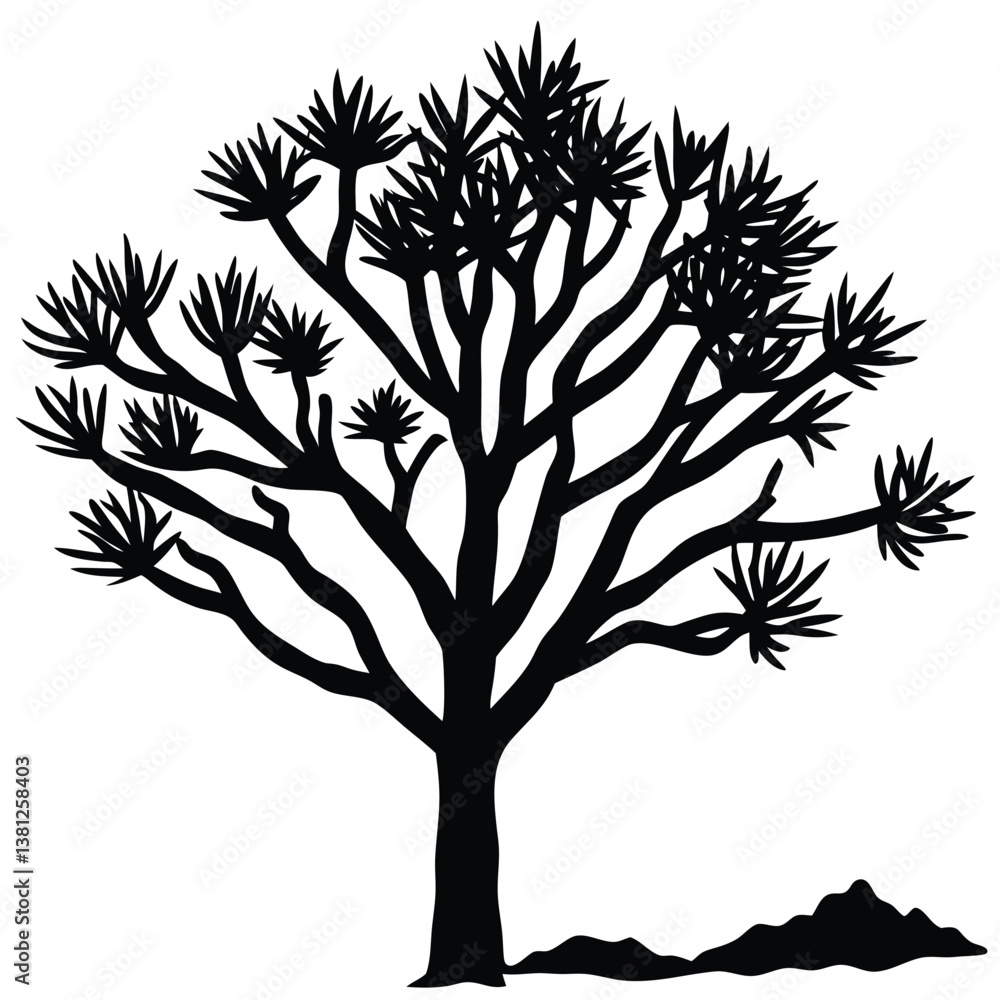 Obraz premium Ocotillo tree silhouette 