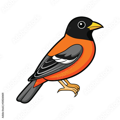  Dynamic Baltimore Oriole Bird Artwork