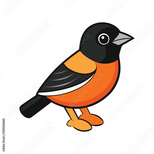 Charming Baltimore Oriole Bird Illustration