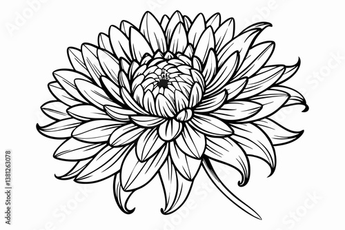 coloring page line art the aster black vector