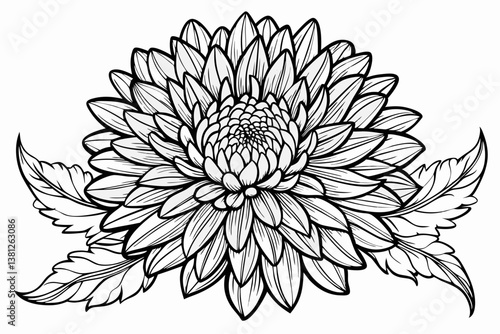 coloring page line art the aster black vector