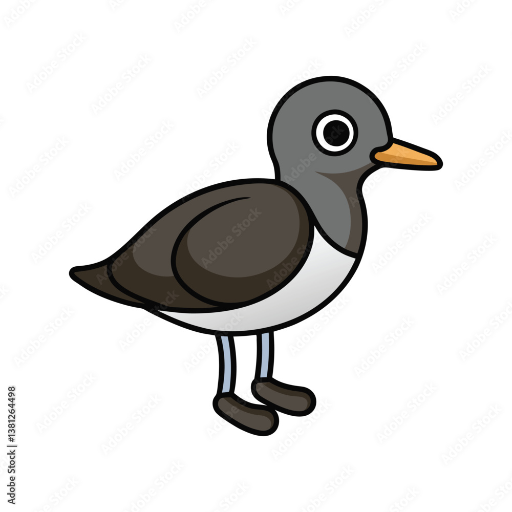 Fototapeta premium Vivid Black-Bellied Plover Design