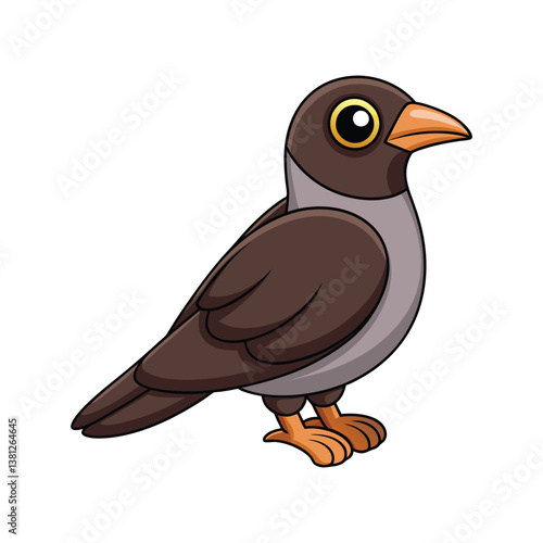  Stunning Black-Billed Cuckoo Bird Artwork