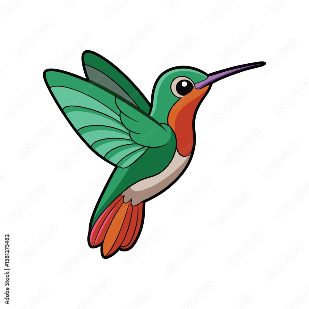 Realistic Broad-tailed Hummingbird Bird Illustration Realistic Broad-tailed Hummingbird Bird Illustration