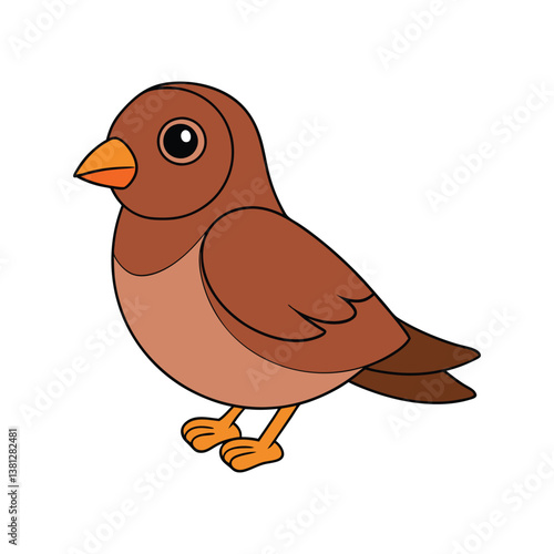  Realistic Cinnamon Quail Thrush Bird Illustration