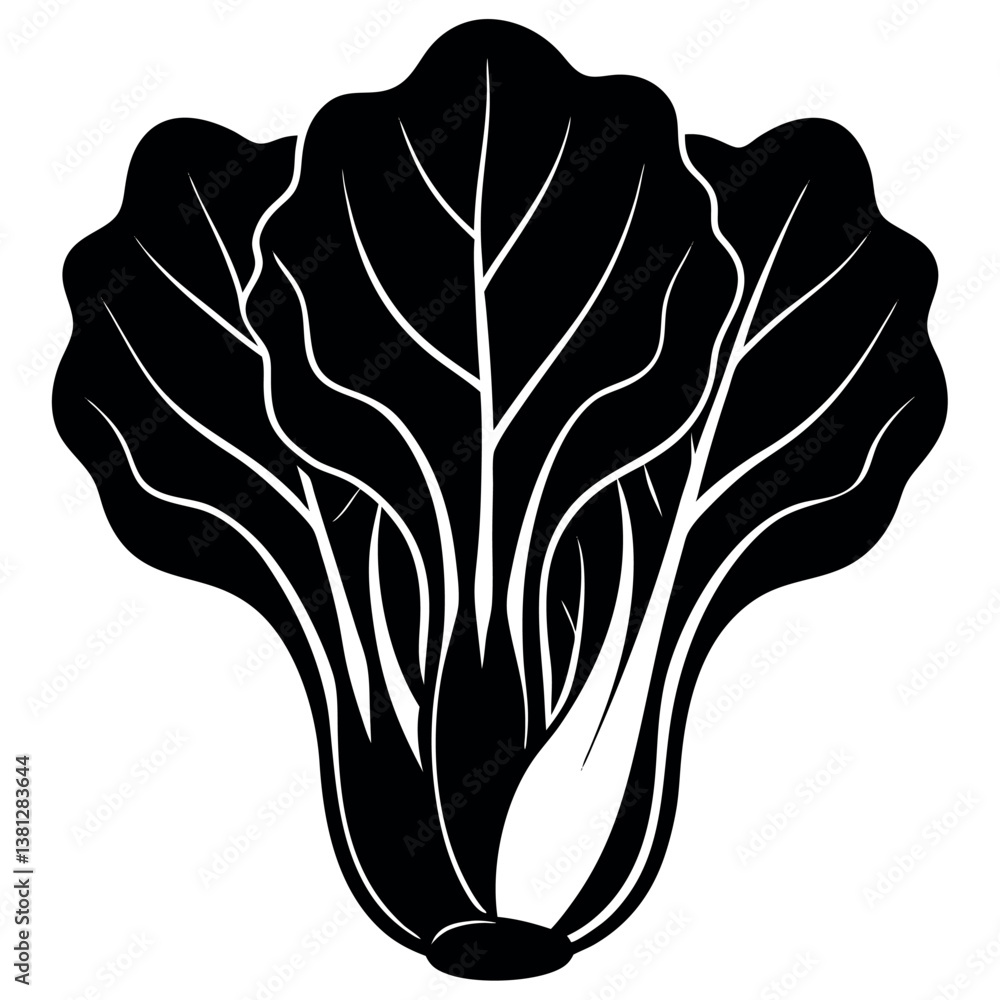 Fototapeta premium Bok choy silhouette-illustration 