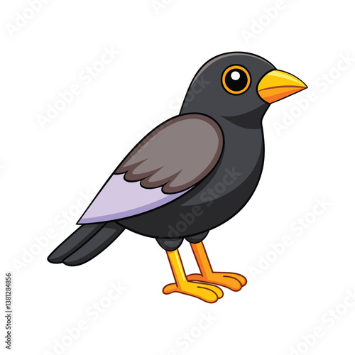  Realistic Common Hill Myna Bird Illustration