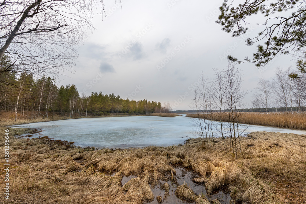 Fototapeta premium A lake with a cloudy sky in the background