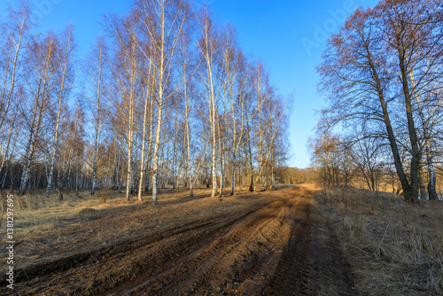 road in the forest