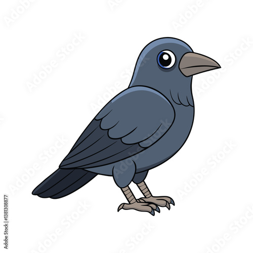  Jackdaw Bird Realistic Illustration