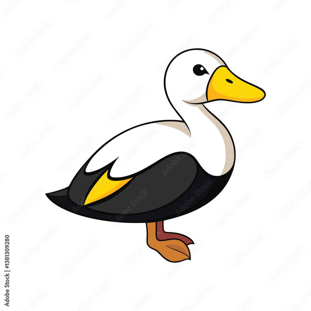 Obraz premium King Eider Bird Realistic Illustration