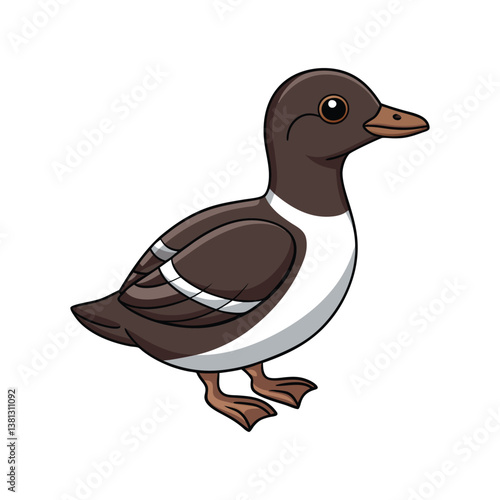  Elegant Marbled Murrelet Bird Vector