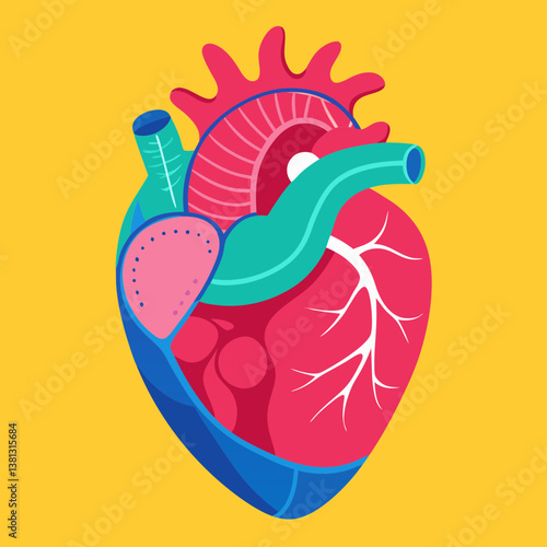 heart, organ, cardiology, cardiac, surgery, cardiologist, anatomy, medicine, healthcare, artery, aorta, vein, valve, heartbeat, pulse, blood, chamber, muscle, oxygen, circulation, medical, science, ho