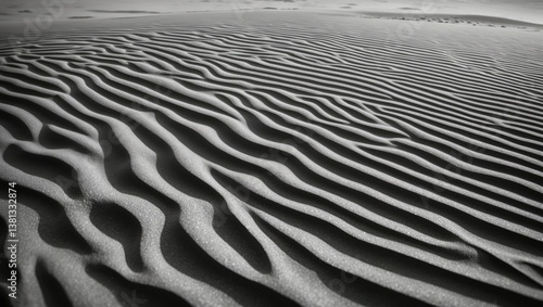 Sand backdrop. The central area is dry while the periphery features wet sand.