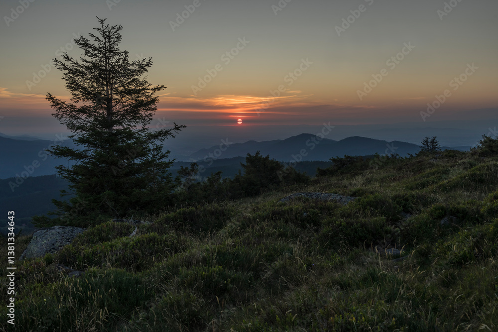 Obraz premium View from le petit ballon in the french vosges.
