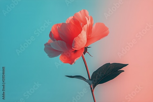 Beautiful Flower With Vibrant Colors Against a Gradient Background During Sof...
