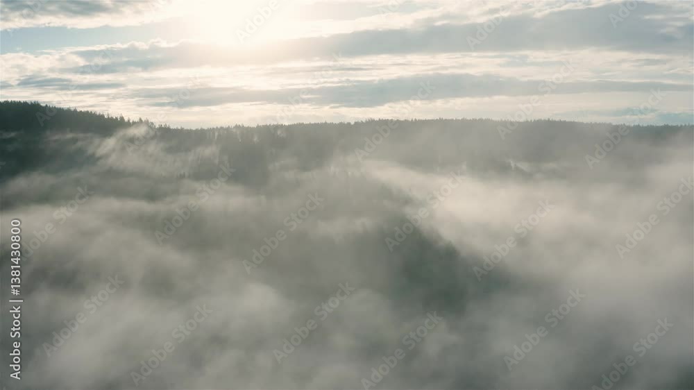 Sunrise aerial view in Black Forest National Park, with dense fog covering the forest.
