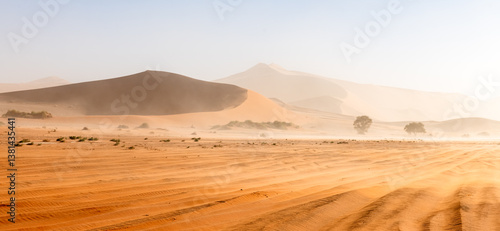 Panorama of the Namib desert with red sand dunes and sandstorm in Sossusvlei valley in Namibia, Africa. Landscape photography