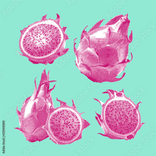 Pitaya fruit vector, pitaya fruit illustration, line drawing on light blue background.
