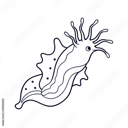 High Quality Nudibranch Line Art Illustration

