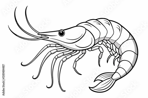 coloring page line art the shrimp black vector