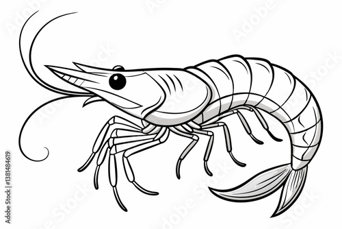 coloring page line art the shrimp black vector