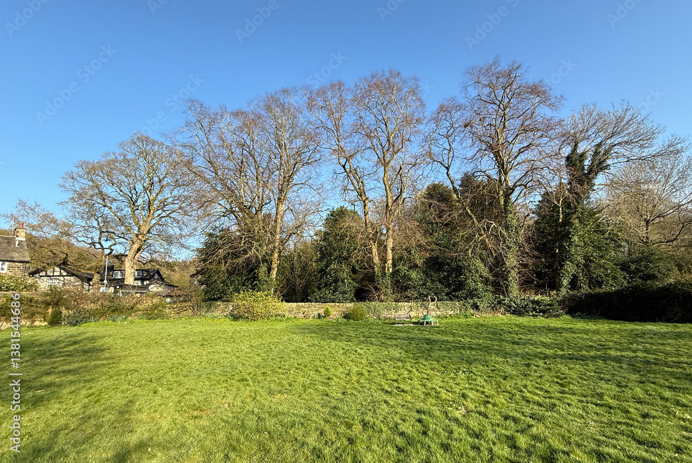 Fototapeta premium A lush green field stretches in the foreground, bordered by large, leafless trees under a clear blue sky. Houses are visible in the background, in the quiet rural village of, Esholt, Yorkshire, UK
