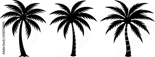 Palm tree solid icon vector art, Vector of beach tree icon silhouette design