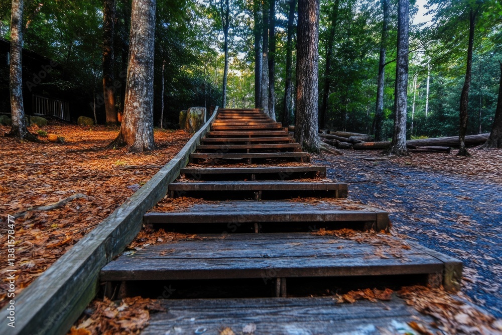 Wooden staircase in forest surrounded by autumn leaves leading to sunlit path Wooden staircase in forest surrounded by autumn leaves leading to sunlit path