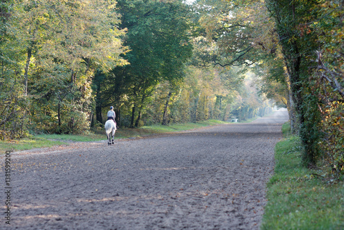 Cavalière vue de dos en forêt de Chantilly (France).