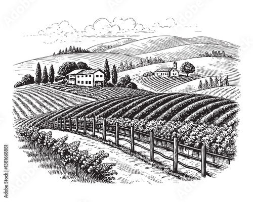 vineyard landscape engraving vector illustration