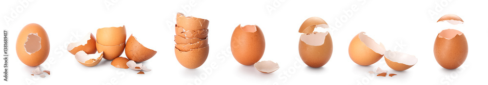 Set of egg shells on white background