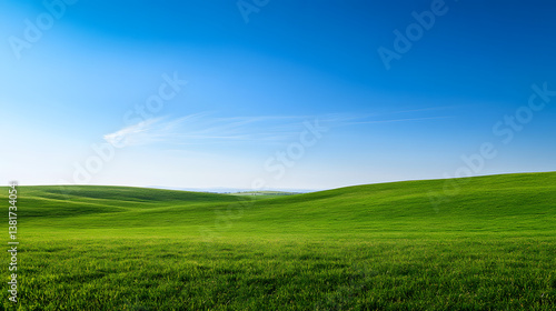 A vast rolling green meadow under a bright blue sky.