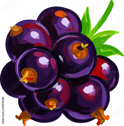 matisse's style Blackcurrant
