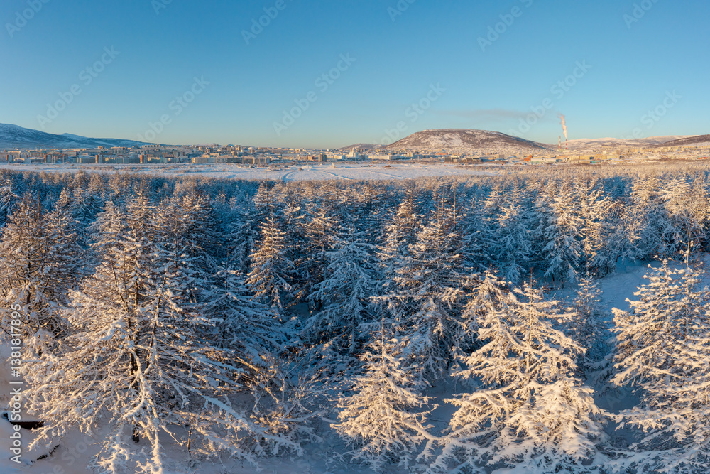 Winter aerial view of a snow-covered forest and a northern Siberian town. Snow on the branches of larch trees. Cold snowy weather. Travel to the Far North of Russia. Magadan, Magadan region, Russia.