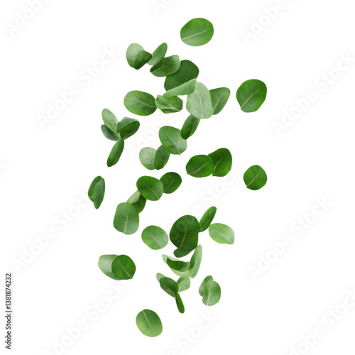 Fresh Green Leaves Falling on a White Background