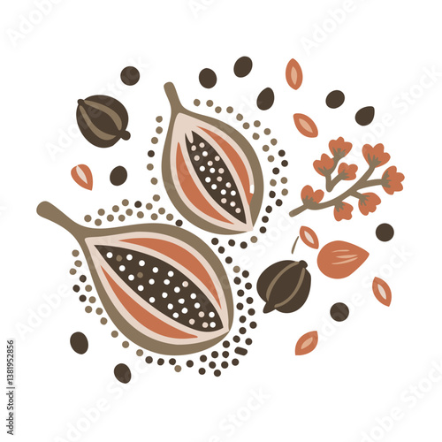 Ajwain Seeds, Trachyspermum Ammi, Vector Illustration