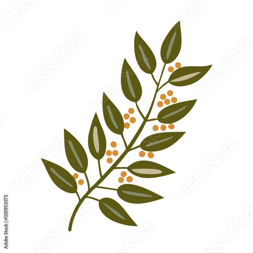 Ravintsara Branch with Berries Illustration