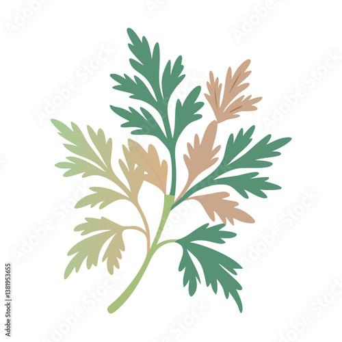 Mugwort Artemisia Vulgaris Leaf Illustration