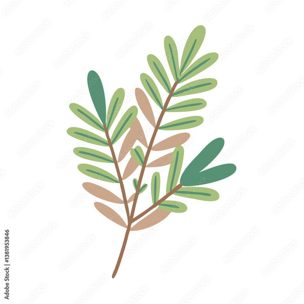 Obraz premium Ledum Groenlandicum Leaves Illustration on White